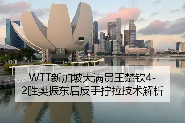 WTT新加坡大满贯王楚钦4-2胜樊振东后反手拧拉技术解析